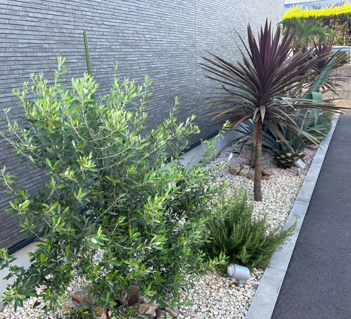 コンテンツ画像