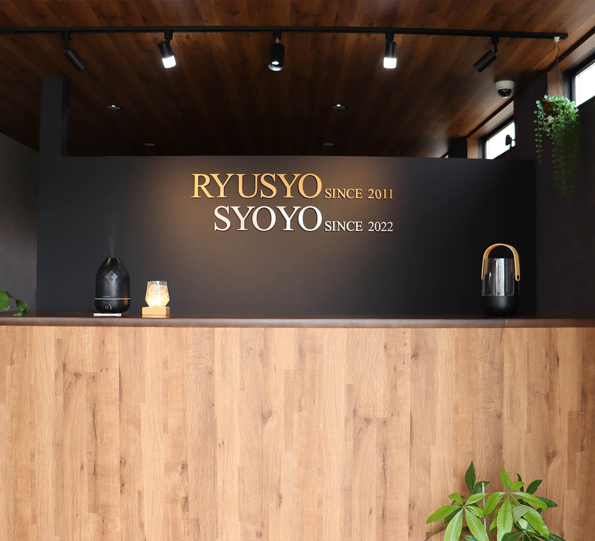 コンテンツ画像